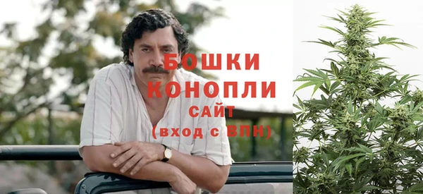 дживик Нефтегорск